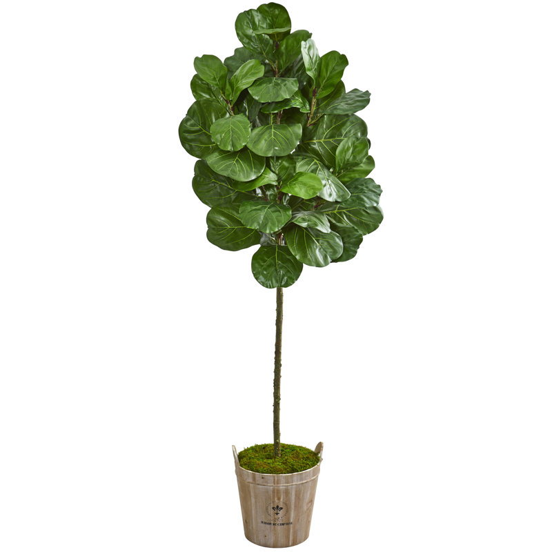 One Allium Way® 66" Artificial Fiddle Leaf Fig Tree in Planter Wayfair